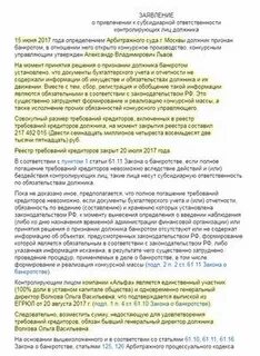 Заявление о привлечении к субсидиарной