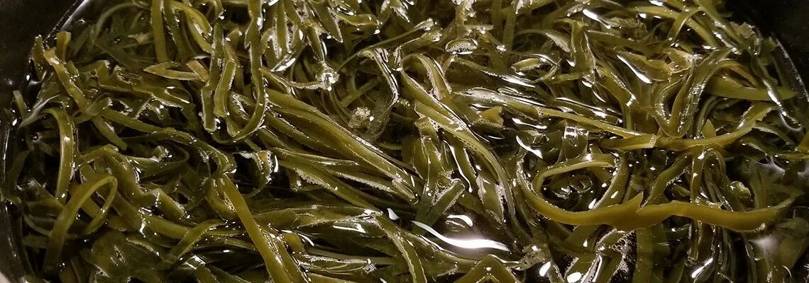 Можно ли собакам морскую капусту