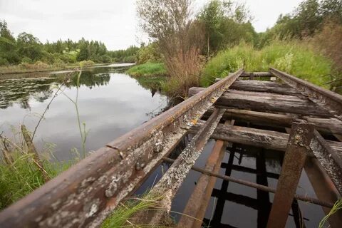 Погода бежаницы на 10 дней псковская область