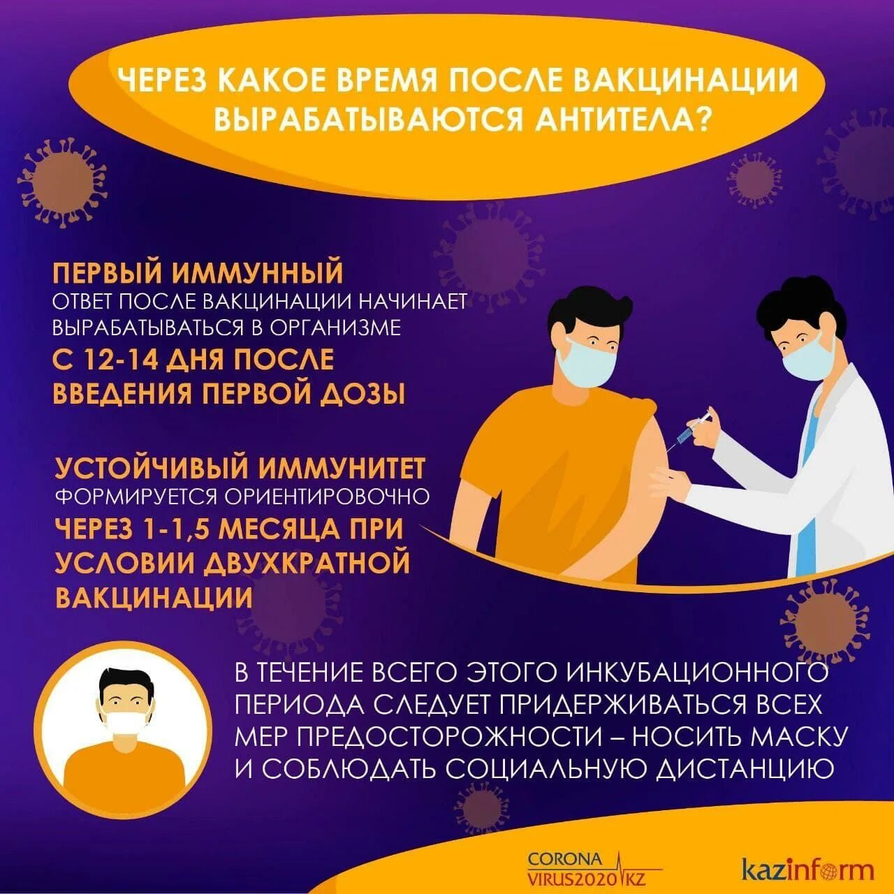 После вакцины вырабатывается