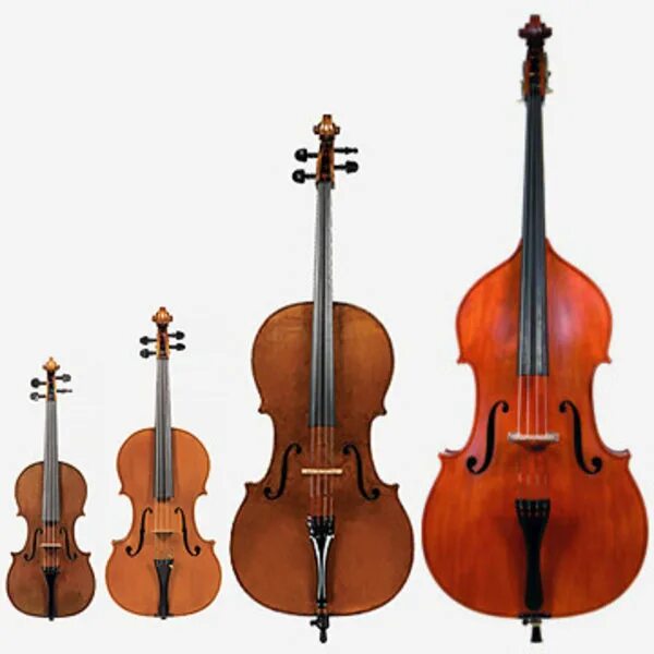 Violin Viola Cello Double Bass. Скрипка Cervini HV-300 4/4. Виолончель струнные смычковые музыкальные инструменты. Контрабас струнные смычковые музыкальные инструменты.