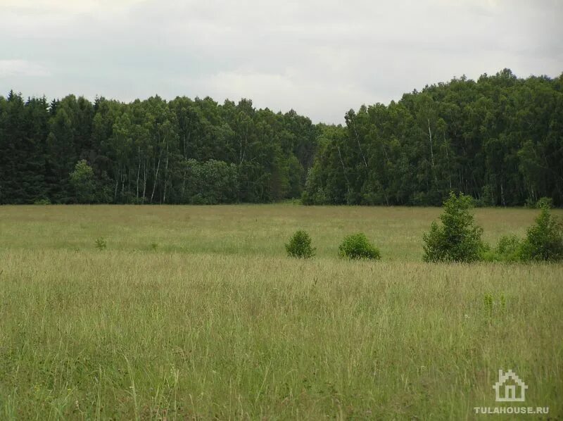 Земельный участок индустриальный парк ворсино. 2000 гектаров. Локнянская поляна в псковской области. 750 гектаров. Почвы забайкальского края.