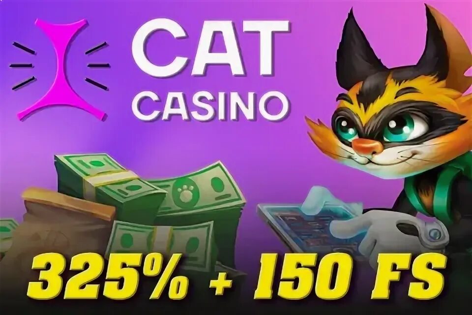 Кэт казино. Казино Cat регистрация. Кэт казино телеграмм. Рекламные баннеры казино. Casino cat cat kasino official org ru