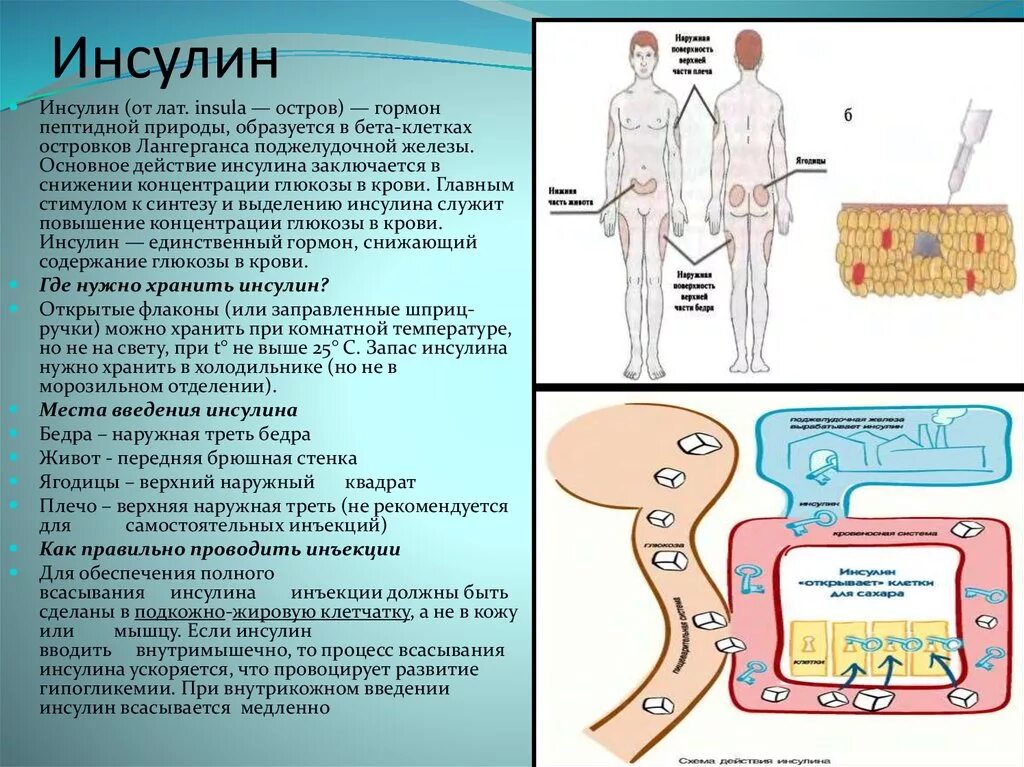 Почему высокий инсулин. Инсулин. Инсулин человека. Инсулин вводится подкожно. Процесс выделения инсулина в организме.