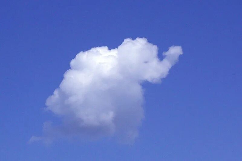 Clouds Tell You a Story Clouds, Angel clouds, Beautiful nature