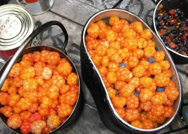 Морошка на зиму без варки. Моченая морошка. морошка мякушка. морошка варенье. варенье из морошки.