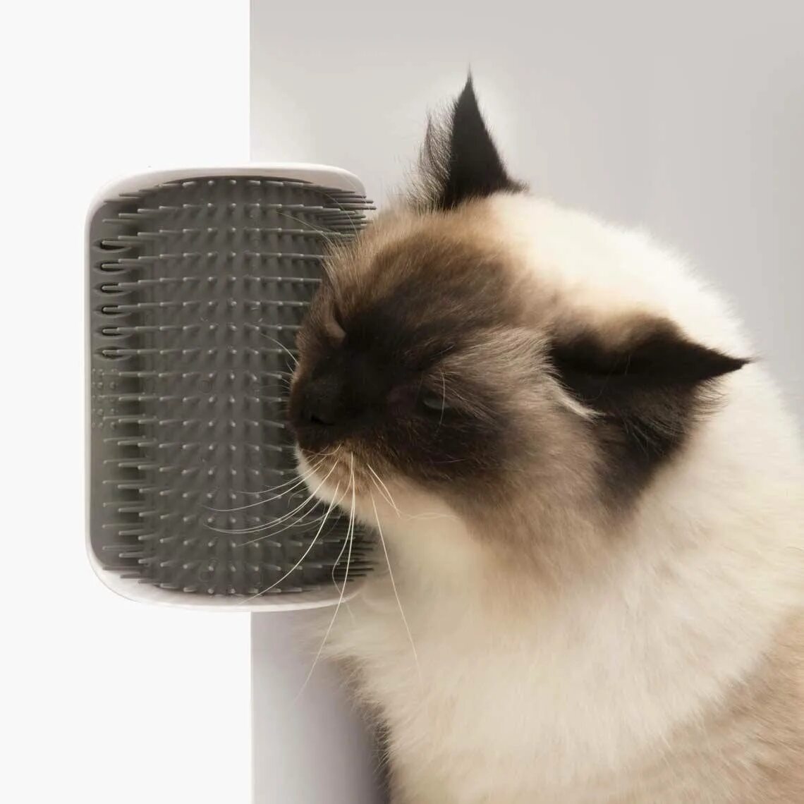 Автоматическая чесалка для кота купить. Catit senses 2.0 массажер для кошек. Угловая щетка-чесалка для кошек. Catit для кошек для вычёсывания шерсти. Чесалка для щек кошек.