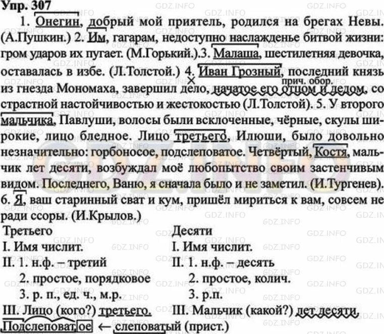 Тест 8 ладыженская класс. Русский язык 8 класс ладыженская 307.