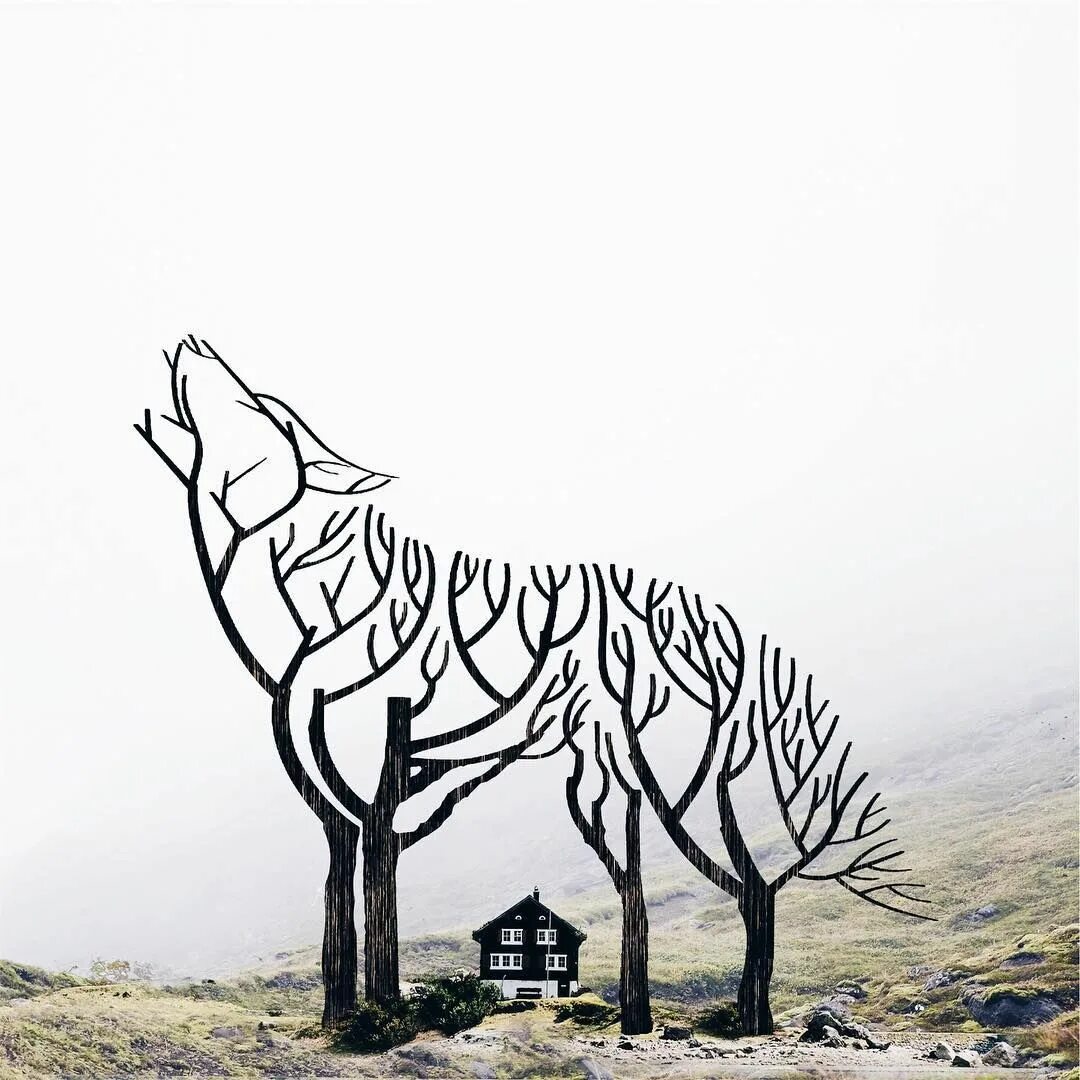 Wolf tree