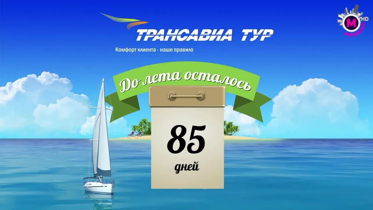 Сколько до лета график. До следующего лета осталось. таймер до лета. дней до лета. отсчет дней до лета.