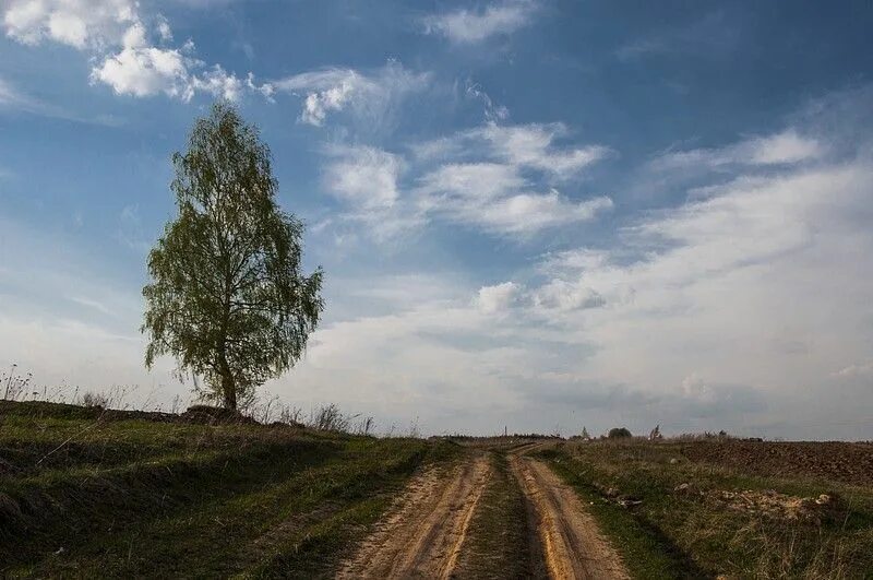 Костромская область село сунгурово. Сунгурово костромская область церковь. Погода сунгурово. Погода сунгурово. Погода сунгурово.