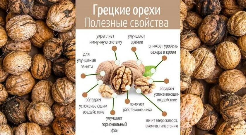 Какие орехи можно кормящим