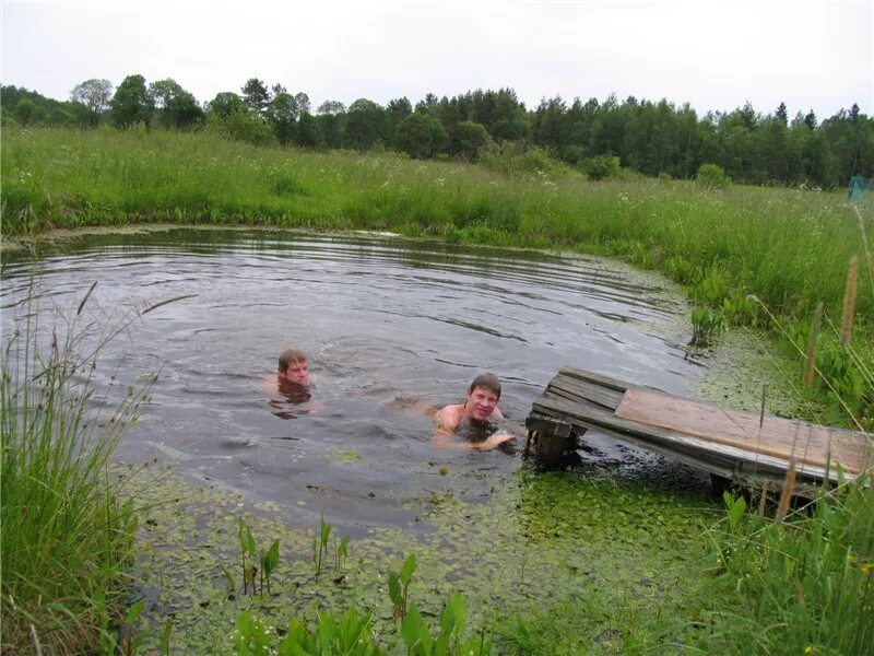 Купаются в пруду. Купание в озере. Купание в деревенском пруду. Лохань для купания. Искупалась в пруду