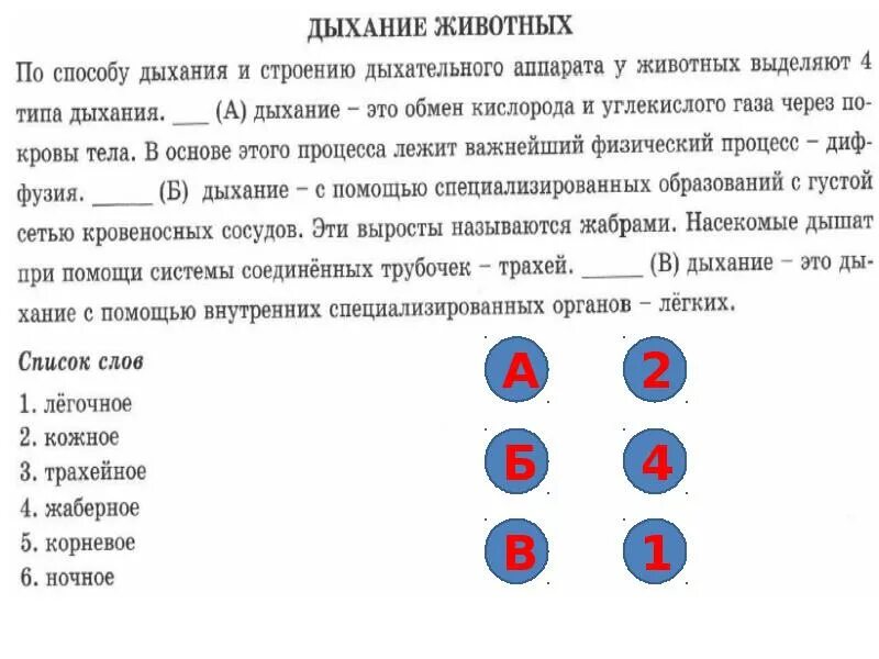 ВПР по биологии. ВПР биология 6 класс. ВПР по биологии 6 класс 2023. Биология 6 класс ВПР термины. Впр биология 6 класс плоды