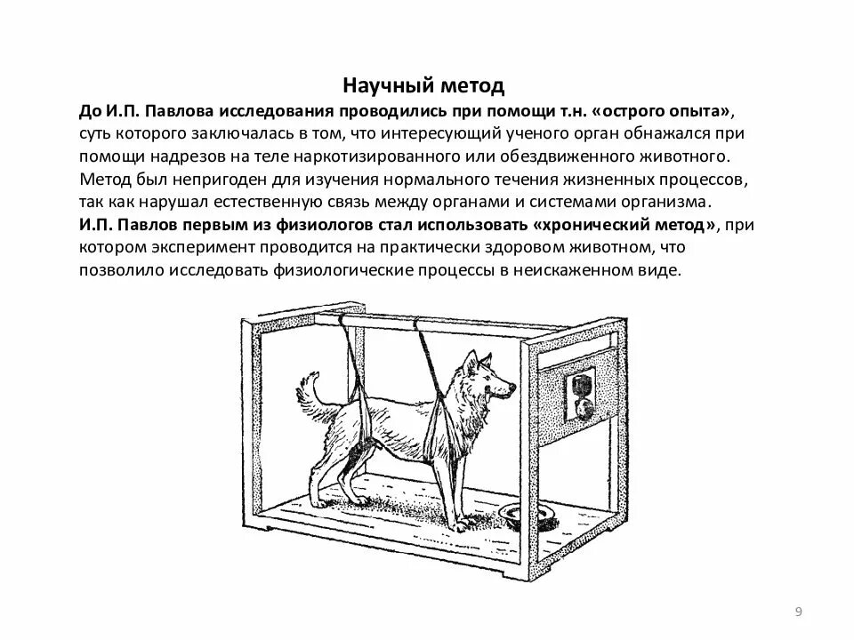 Как называется метод павлова позволивший. Опыты и.п Павлова по изучению физиологии пищеварения. Исследования Ивана Петровича Павлова. Исследования и п Павлова процессов пищеварения.