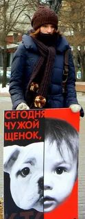 29 января 2008