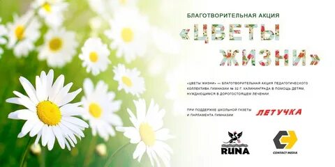 Цветы жизни сайт