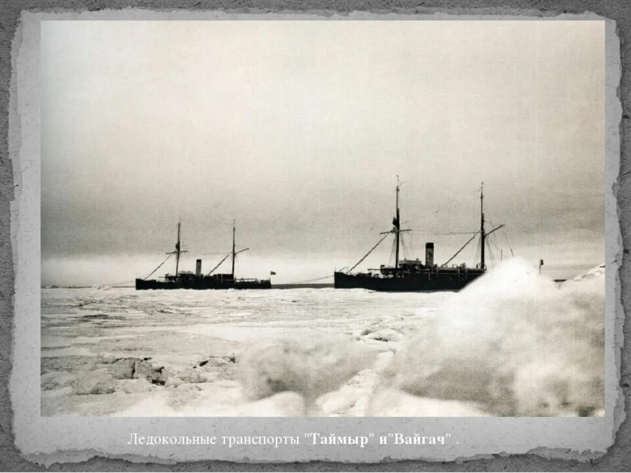 экспедиция норильск таймыр. тундры на полуострове таймыр. усть-порт таймыр. экспедиция на таймыр. экспедиция вилькицкого 1914-1915.