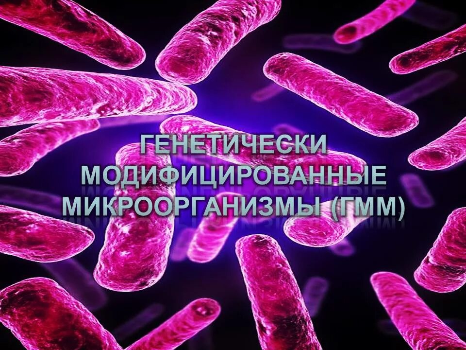 Генетически модифицированные микроорганизмы. Генетически модифицированные микроорганизмы. Модифицированные бактерии. Модифицированные бактерии. Генетически модифицированные микроорганизмы.