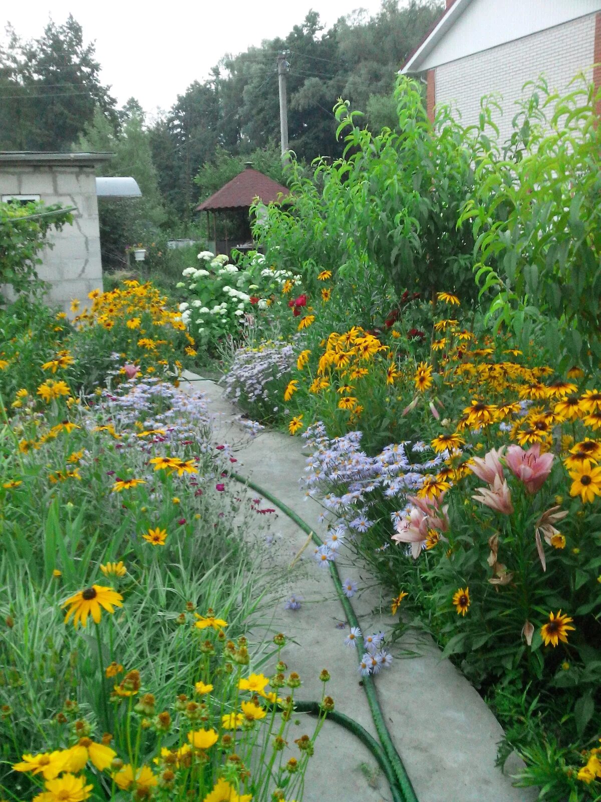 Клумбы на даче. Цветы в огороде. Цветы на даче. Цветник в огороде.