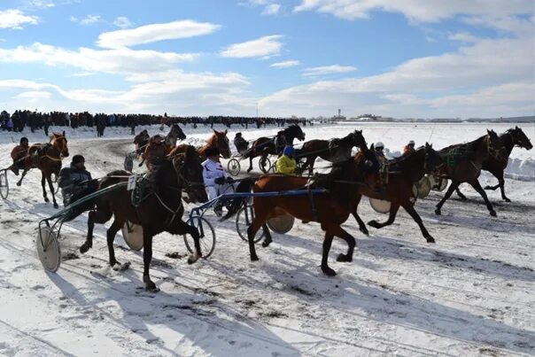 Прогноз погоды в верхнеуральске на 10 дней. Конно спортивные соревнования в Верхнеуральске. Скачки в Верхнеуральске. Верхнеуральский ипподром. Верхнеуральск зимние скачки.