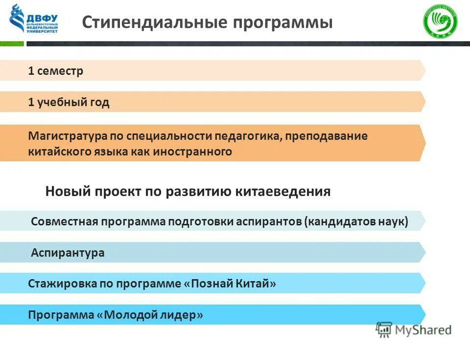 Стипендиальные программы daad и их реализация реферат. Индивидуальные курсы немецкого языка. Стипендиальный конкурс потанина. Стипендиальные программы. Стипендиального конкурса фонда владимира потанина.