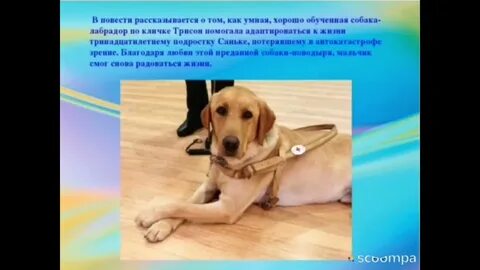 Рассказывается про
