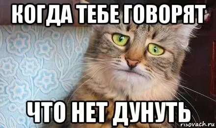 Говори что ей надо
