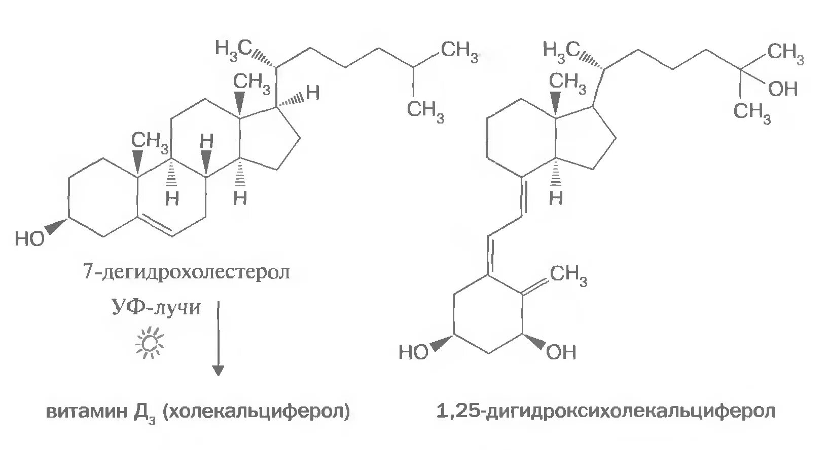 Структура витамина d3. Витамин д2 биохимия. Синтез 7 дегидрохолестерола. Витамин д3 строение.