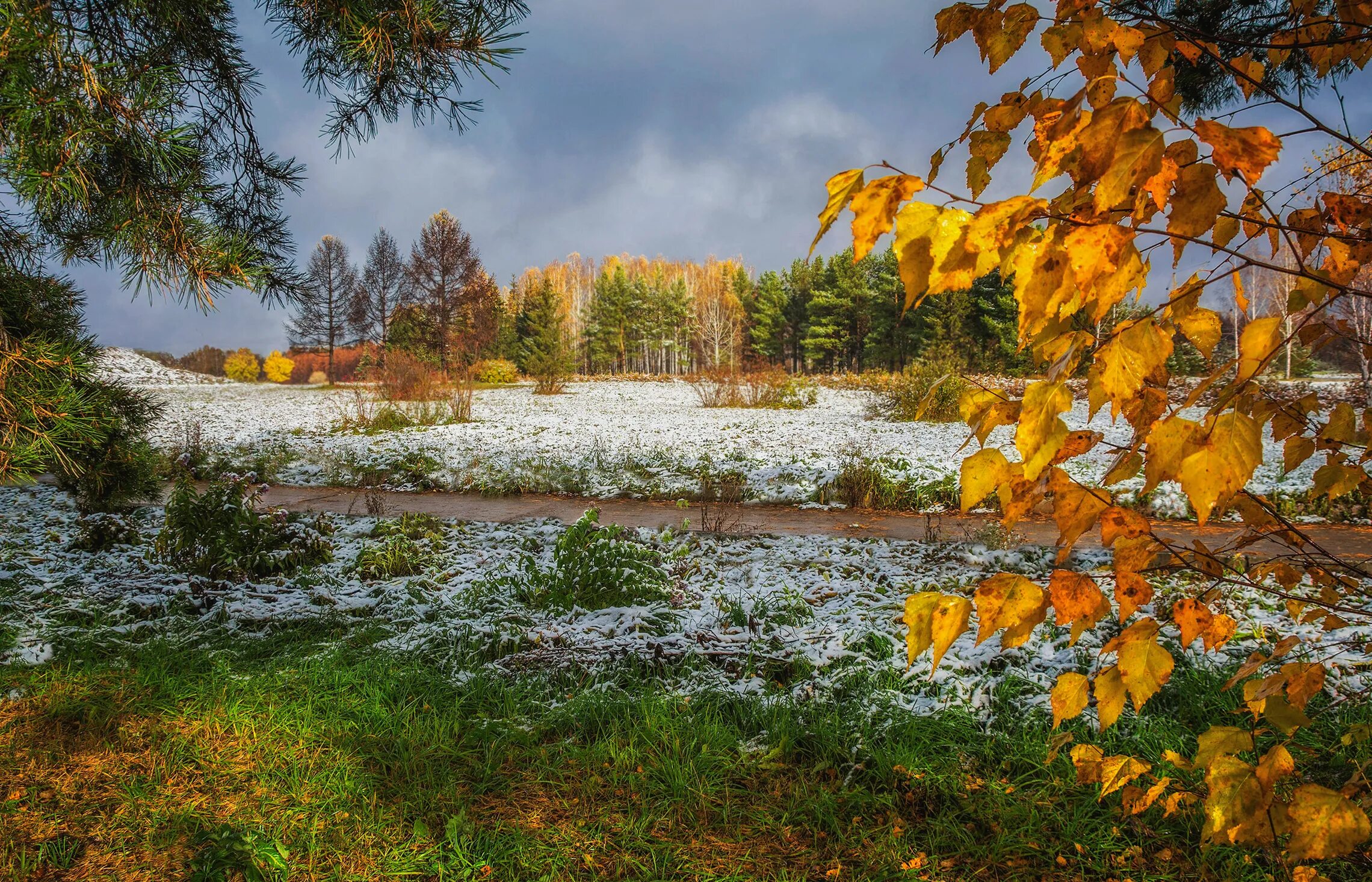 Красивые картинки ноября. Поздняя осень. Ноябрь природа. Снежная осень. Первый снег.