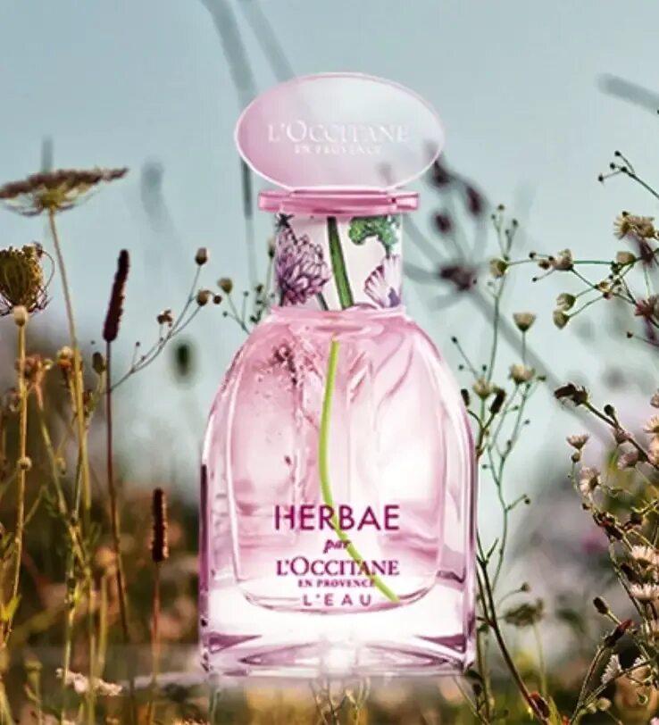 L occitane вода. L'Occitane herbae духи. L'Occitane en Provence духи. Туалетная вода herbae l'Eau, l'Occitane. Loccitane herbae l Eau.