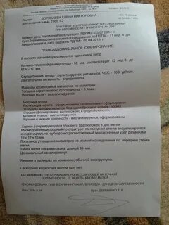 Заключение узи матки