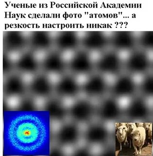 Ученый видит