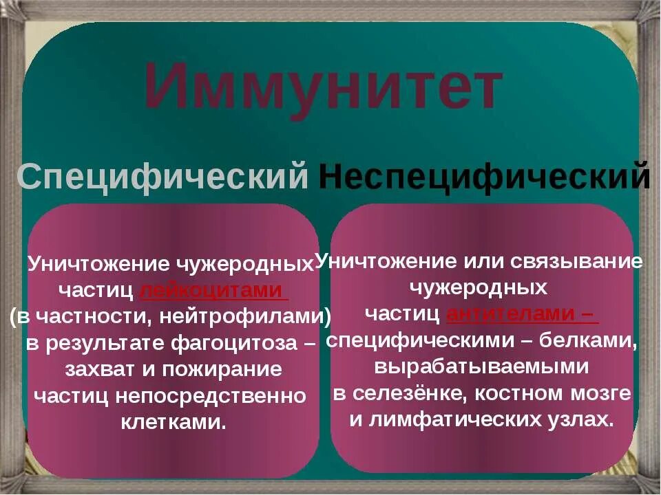 Специфический и неспецифический иммунитет. Неспецифический иммунитет и специфический иммунитет. Специфическая и неспецифическая иммунная реакция. Специфические и неспецифические.