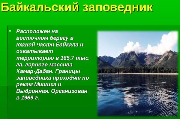 Байкальский заповедник. Доклад о заповеднике. Заповедники России доклад. Описание заповедника. Байкальский заповедник информация