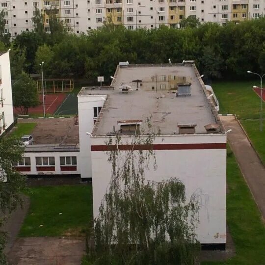 Муниципалитет южное медведково. Школа 956 фото. Школы москвы. Молодцова 1б тцсо цсо южное медведково. Школа 956 южное медведково.