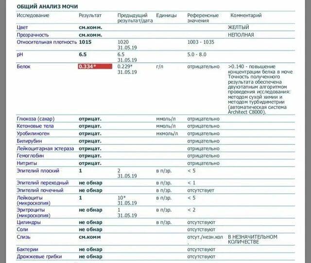 Анализ мочи что означает белок. Белок 1-2 в моче при беременности. Белок в моче 0.300 что это. 0,3 Г/Л белка в моче. Белок 0.6 г/л в моче.