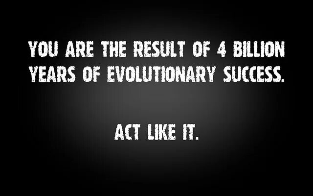 Act like. Evolution Act like one. Evolutionary success что это?.