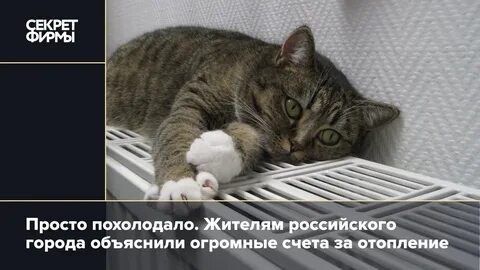 Похолодало время