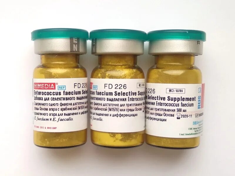 Enterococcus l3. Добавка селективная enterococcus faecium 2009/03708 500мл. enterococcus faecalis faecium. энтерококк фэциум. бифидобактерии лонгум энтерококкус фэциум препараты.