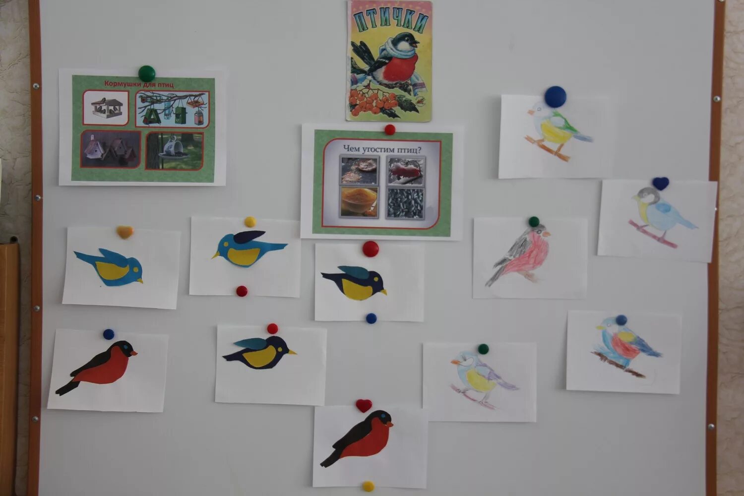книги о зимующих птицах. выставка рисунков птицы. выставка зимующие птицы. фотовыставка зимующих птиц. фотовыставка зимующих птиц.