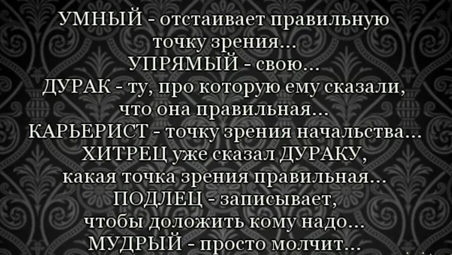 С точки зрения мудрости. Высказывания о дураках. Афоризмы про дураков. Высказывания умный и дурак. Афоризмы про дураков и умных.