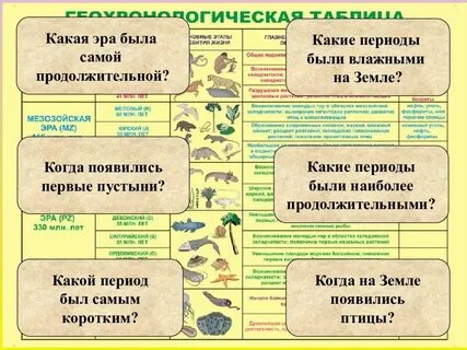 В какую эру геологической истории планеты