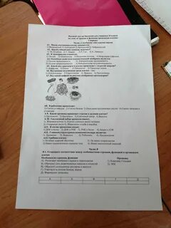 Строение организма тест 8 класс