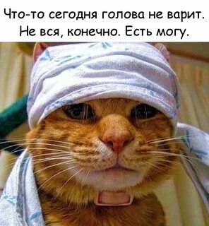 Спрашивай запретили