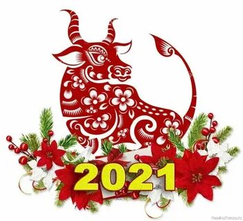 Чай символ года 2025