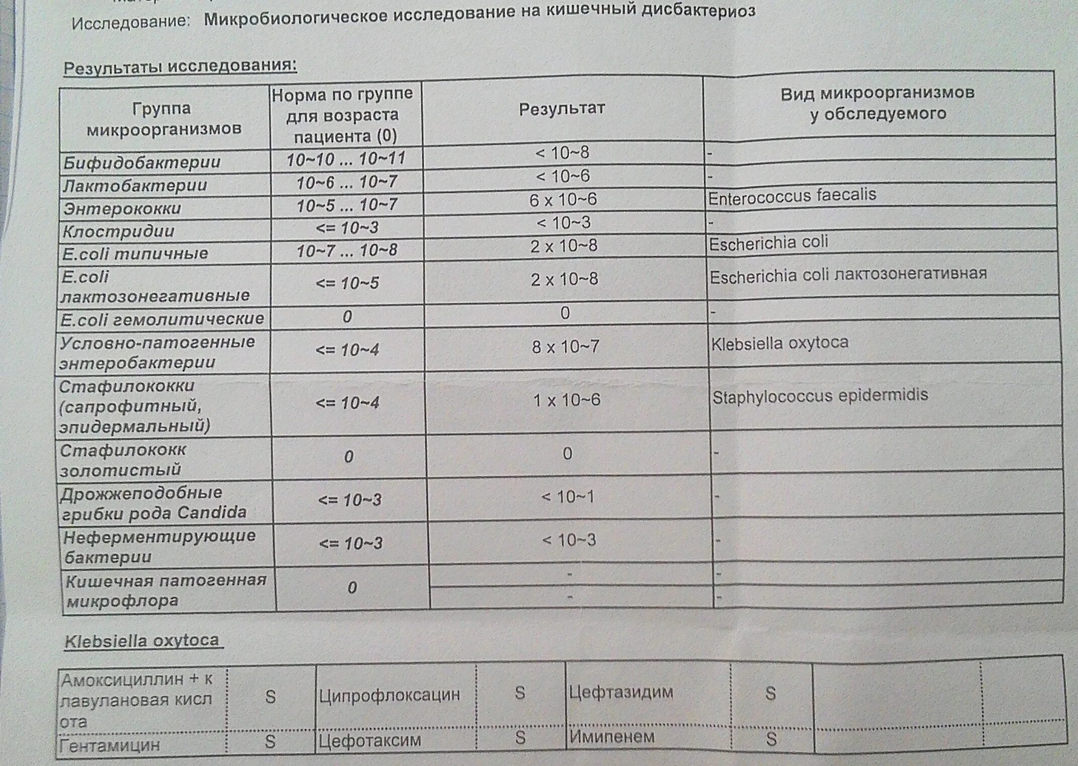 Дисбактериоз кишечника у младенца. Klebsiella pneumoniae норма в Кале у взрослого. Показатели дисбактериоза. Норма клебсиеллы в Кале у взрослого.