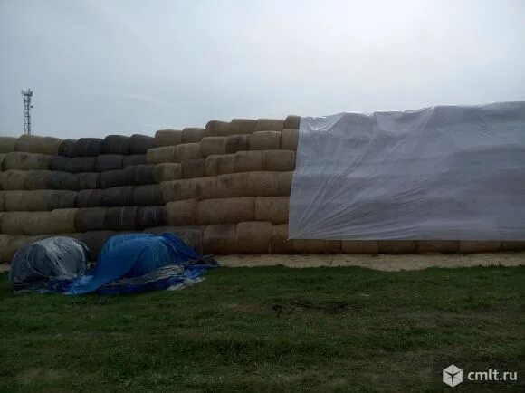 Сено луговое в квадратных тюках. Сено в тюках воронежская область. Луговое сено в тюках. Стоимость сена в тюках. Сено в тюках воронежская область.