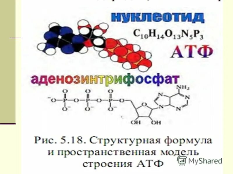 Колоть атф