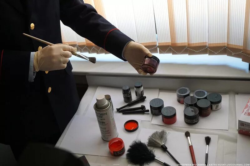 Криминалист какие предметы сдавать после 11 класса. Криминалист какие предметы сдавать после 11 класса